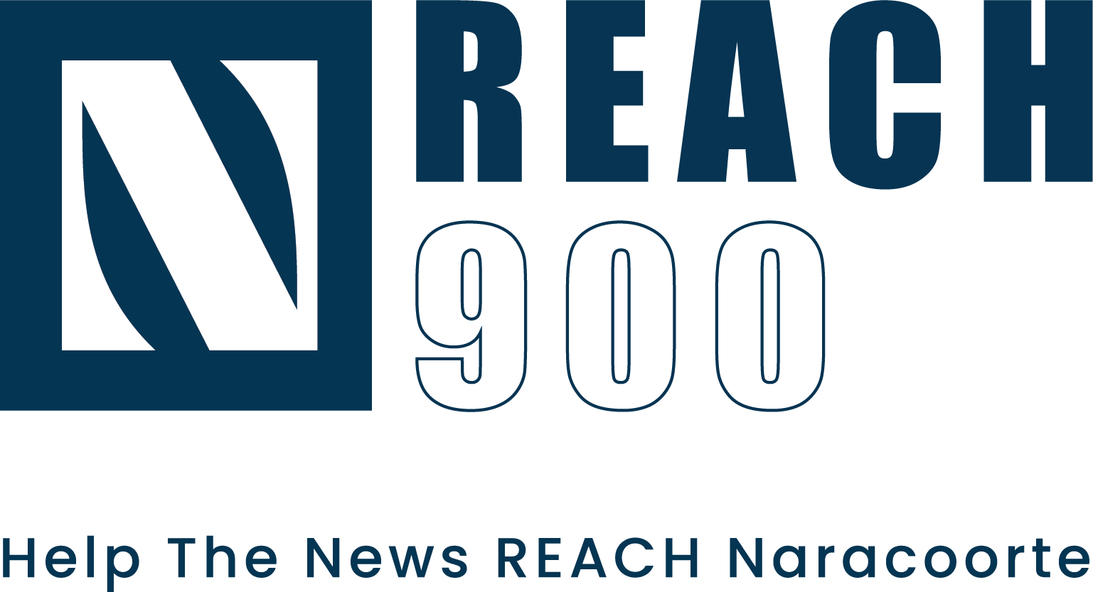 REACH900 logo w tagline
