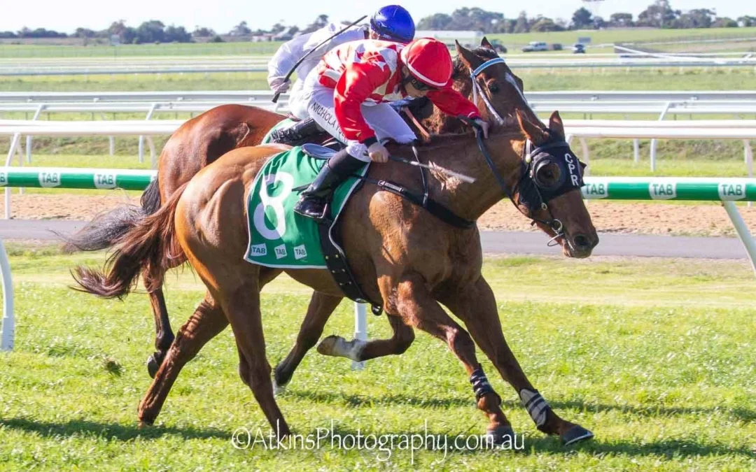 50/1 shot continues stable’s roughies record