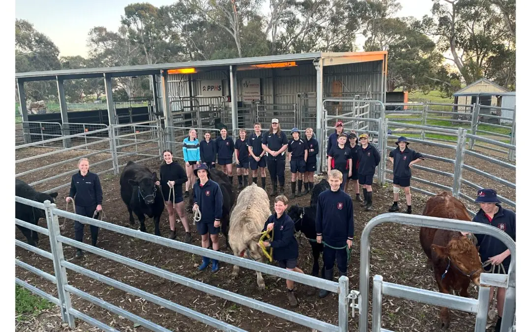 It’s all action for Agriculture at Naracoorte High