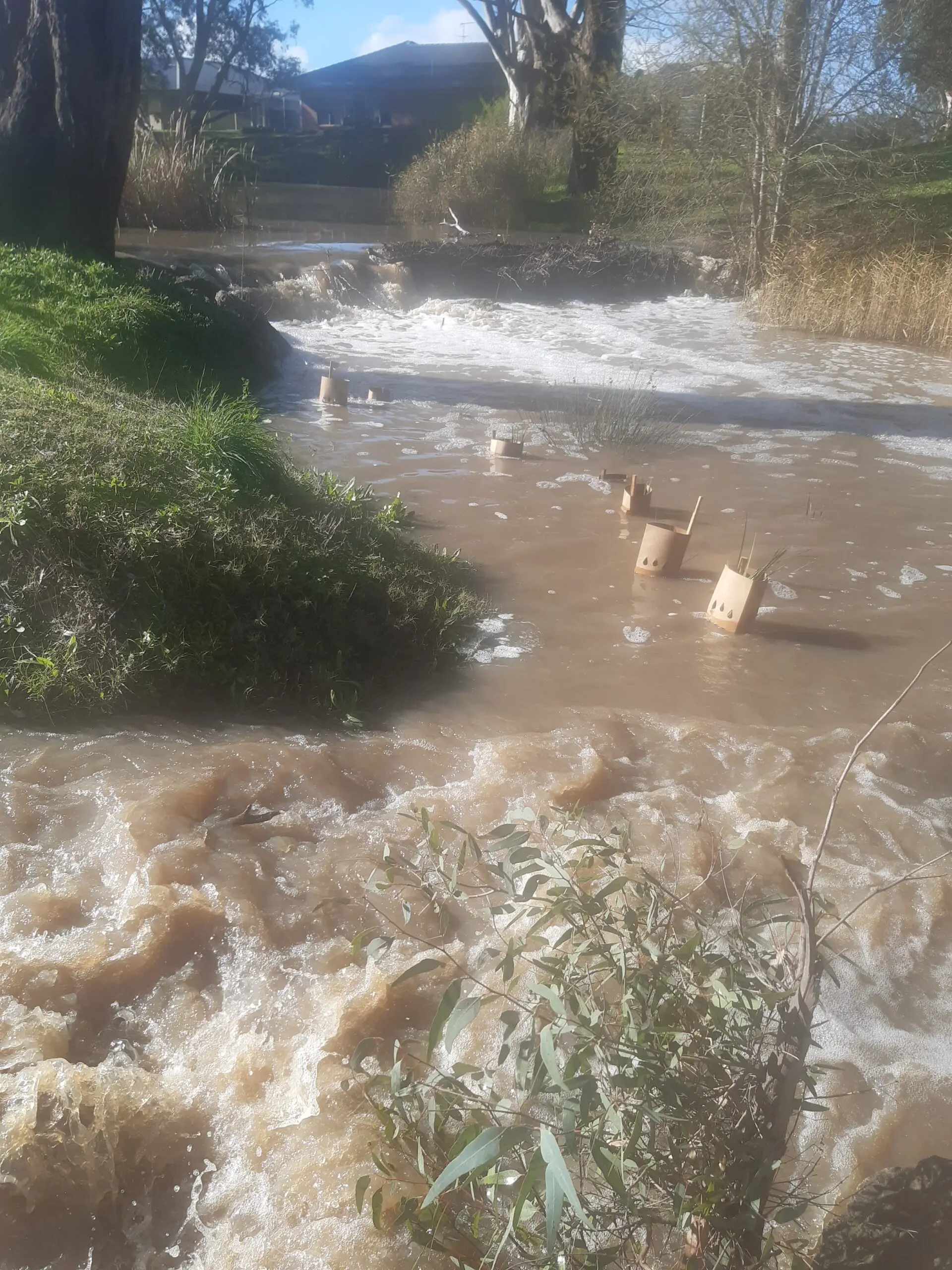 your say – Creek walk to nowhere pictures 3