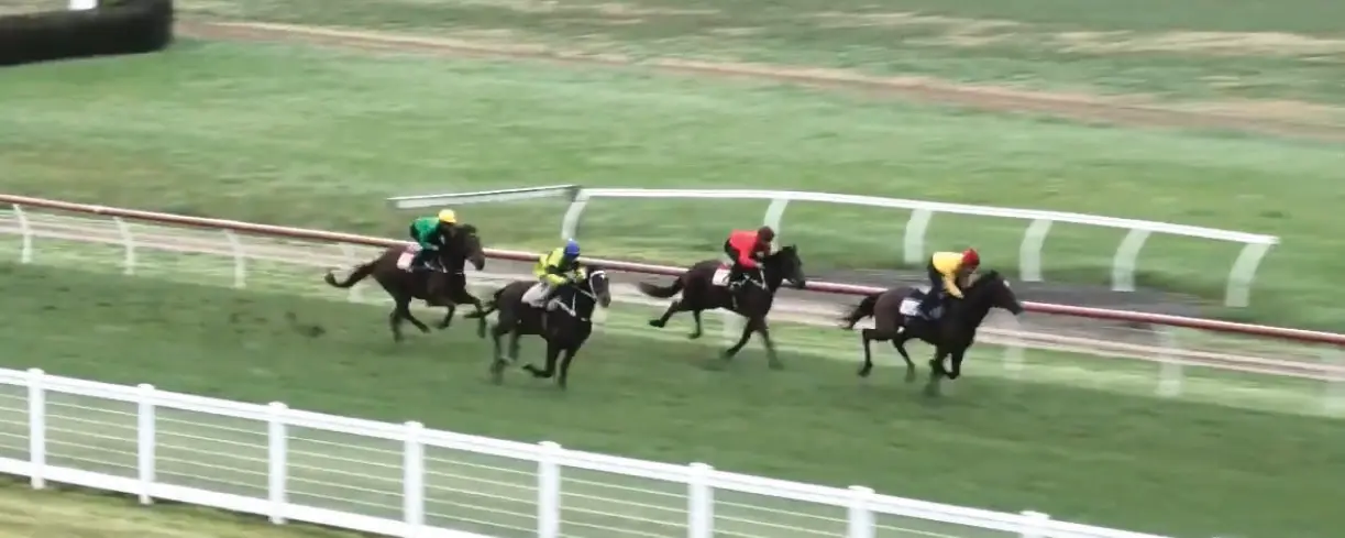 _Sport – From Saturday star to support act picture Melbourne Cup-bound Naracoorte stayer Hasta La War (outside) trucks home to finish second in a 1300m jumpout at Casterton last week. PHOTO: Racing.com