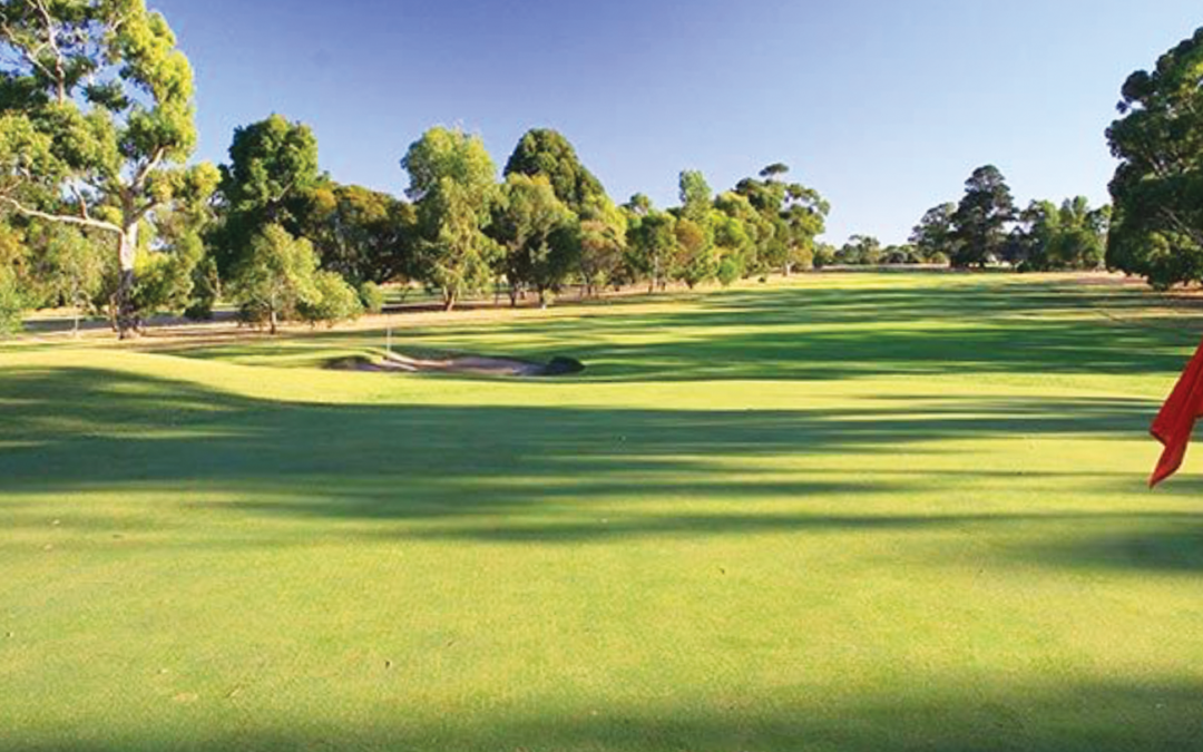 Naracoorte Golf Club Ladies results: 13th September 2023