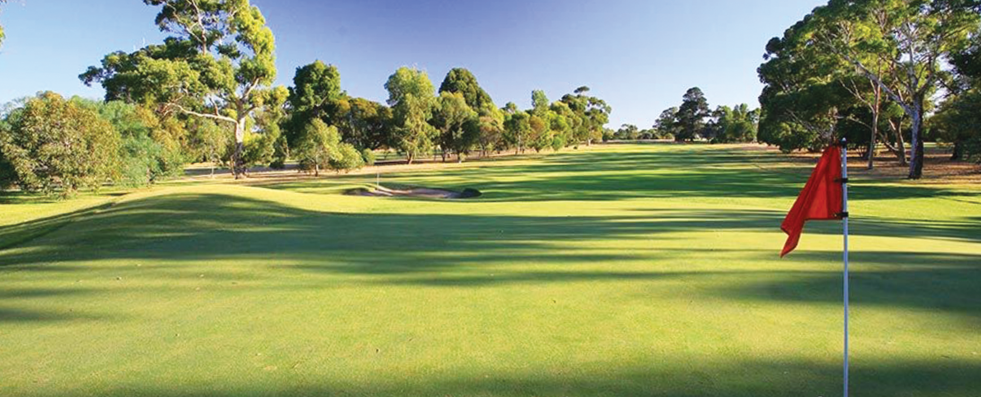 naracoorte golf club