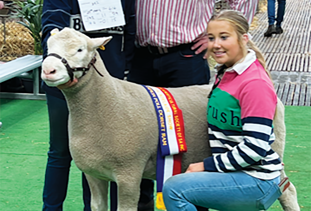 Milestone 20th annual ram sale for Mullinger Park