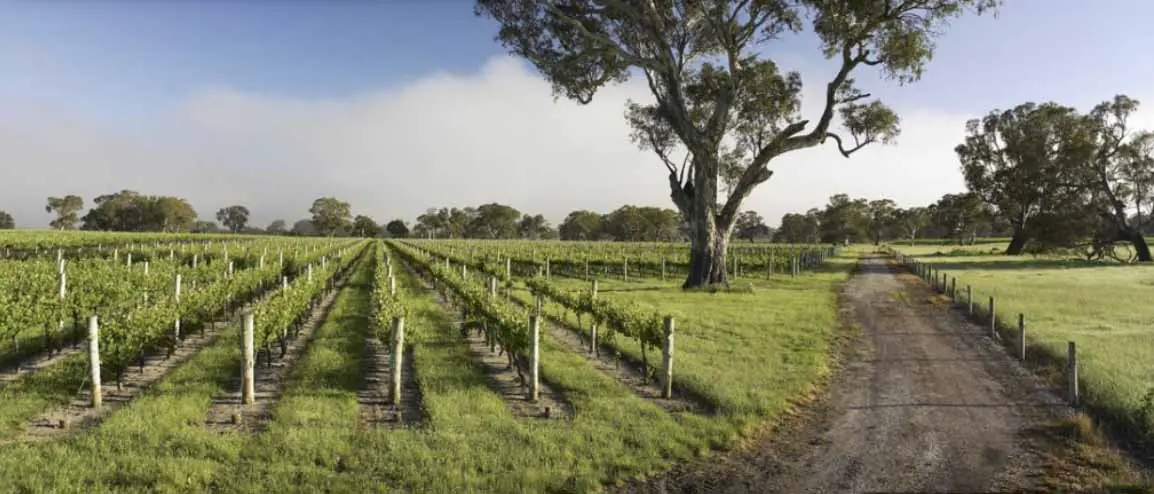 coonawarra running festival