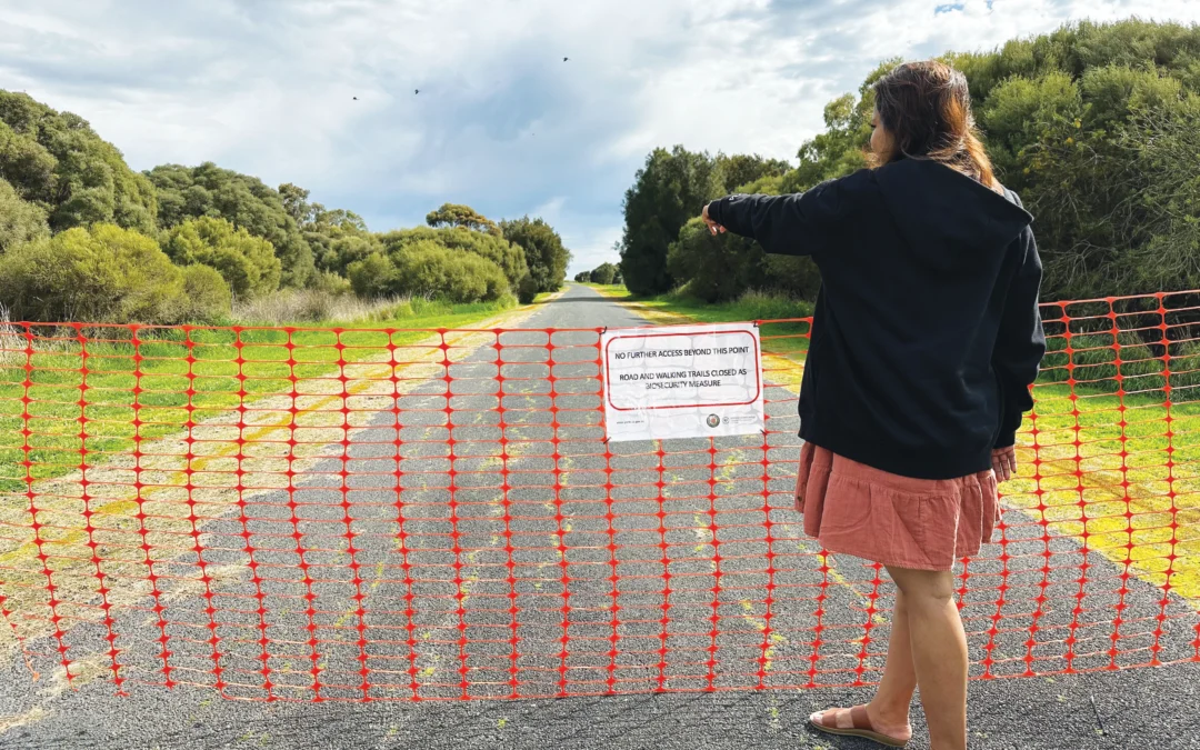 Lagoon reopens: Public cautioned about potential spread of disease following mass frog deathsLagoon reopens: