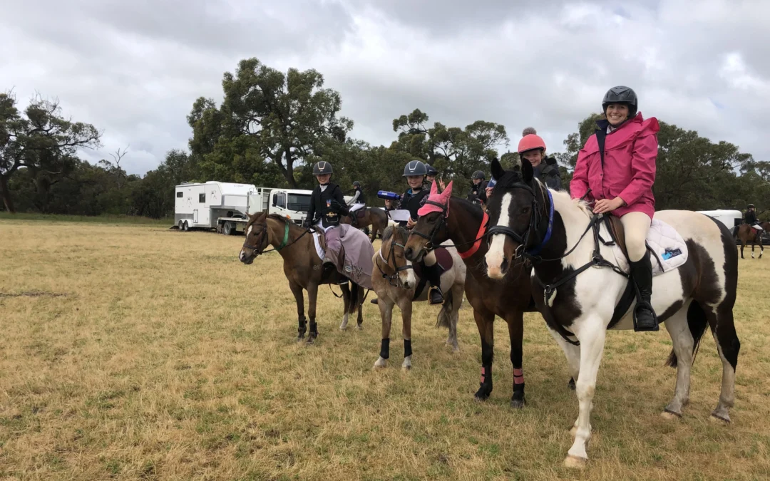 South East Show Jumping Circuit