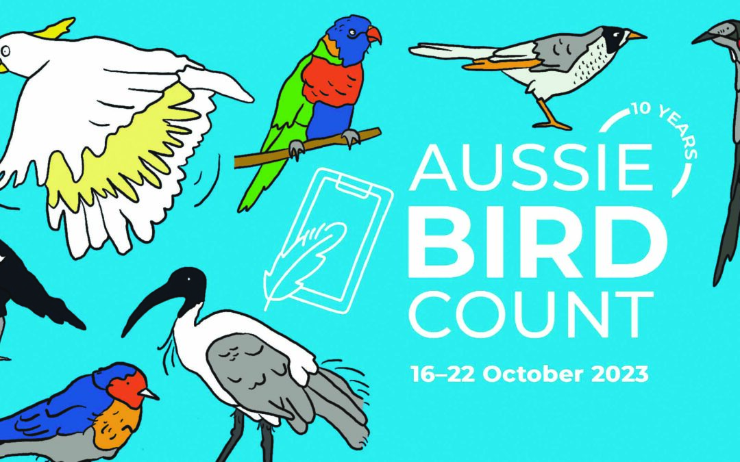 Join the Great Aussie Bird Count in Naracoorte to help our Feathered Friends