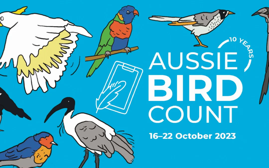 Join the Great Aussie Bird Count in Naracoorte to help our Feathered Friends