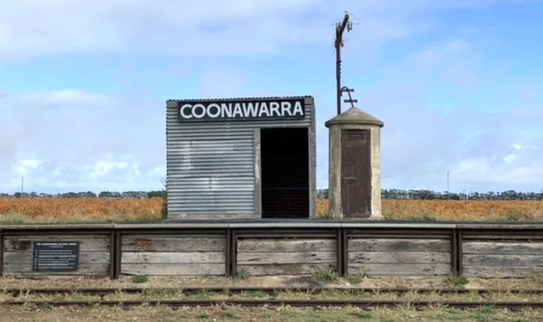 Penola Coonawarra unveils TREE-mendous Christmas initiative