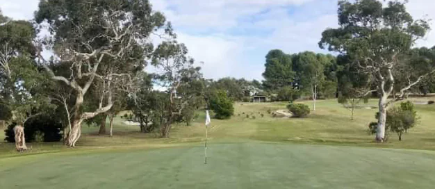 Lucindale Mens Golf results