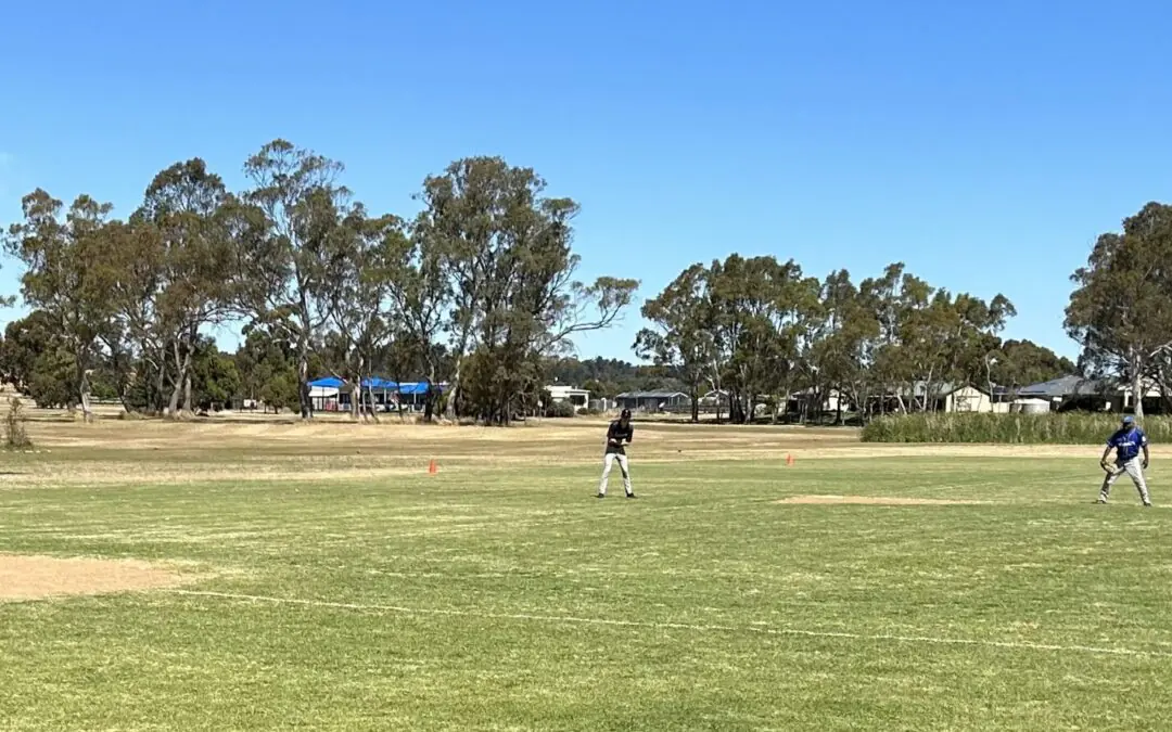 Naracoorte Rangers Baseball report