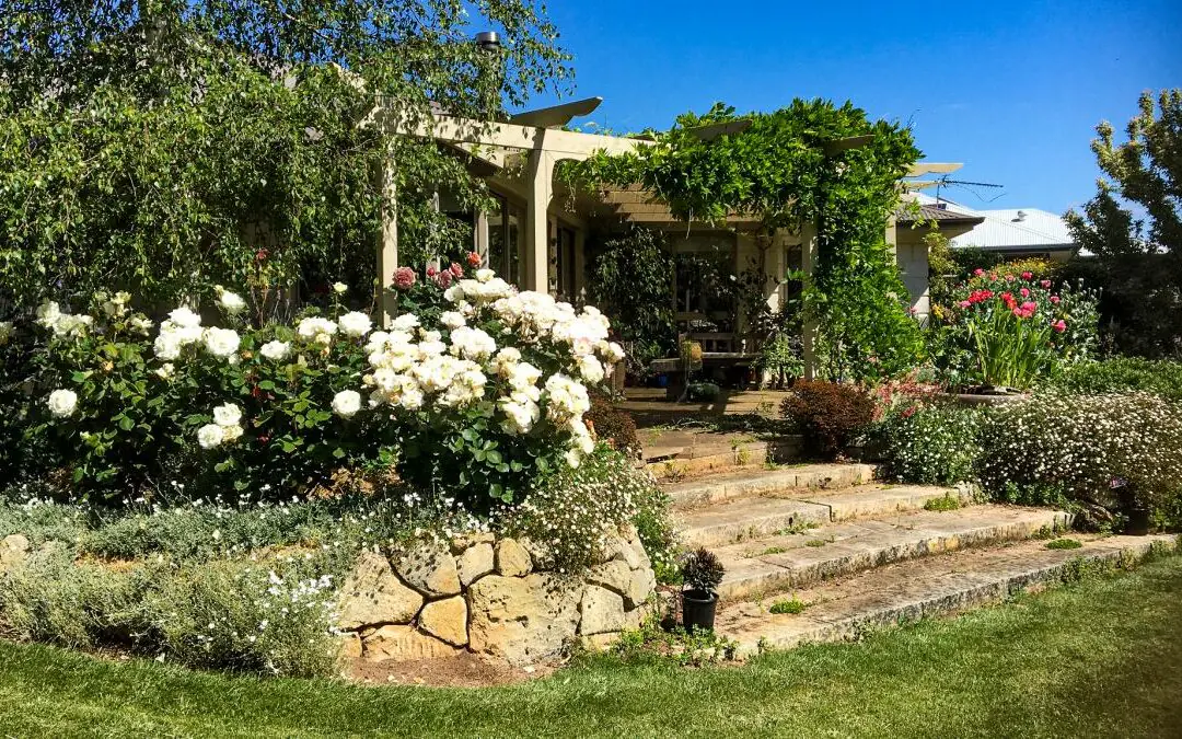 3 open gardens in Penola: 11th and 12th November 2023