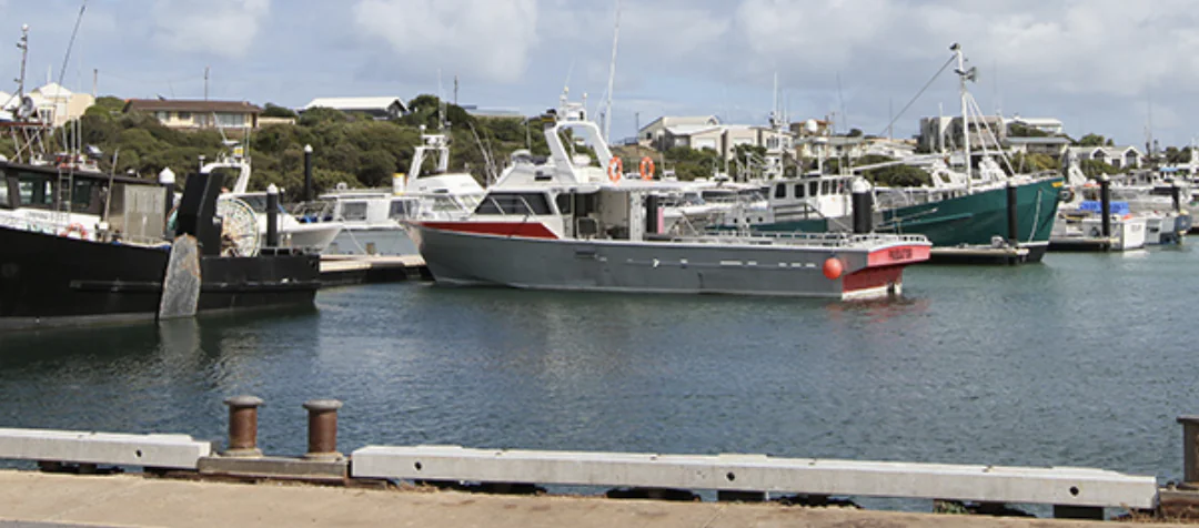 Robe waives ship fees