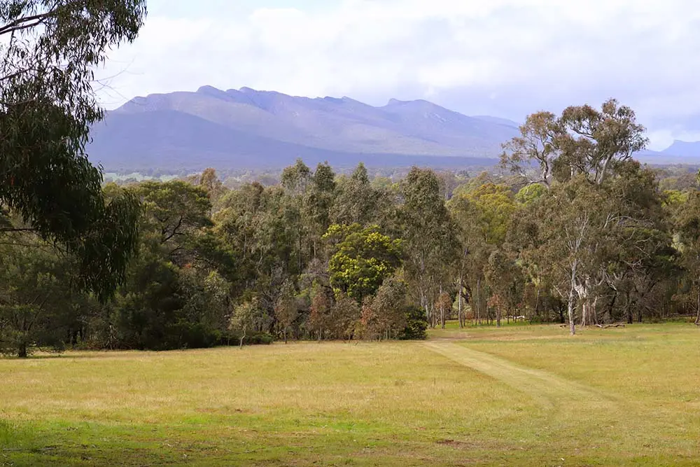 The Hamilton and Alexandra College expands local footprint