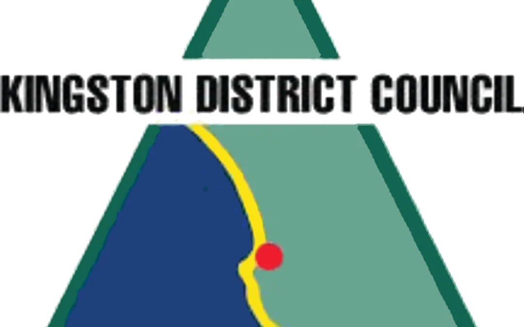 Kingston District Council appoints new CEO