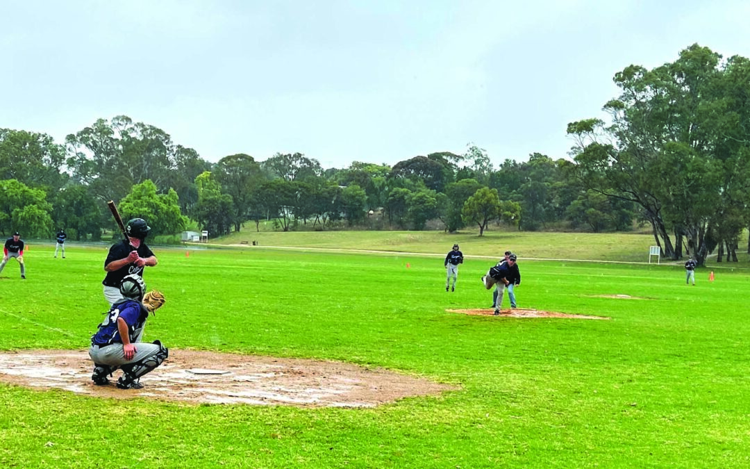 Naracoorte Rangers Baseball results