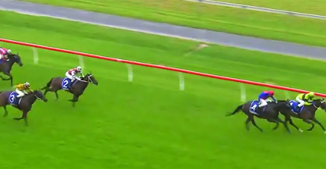 Quirky Naracoorte stayer notches 13th win