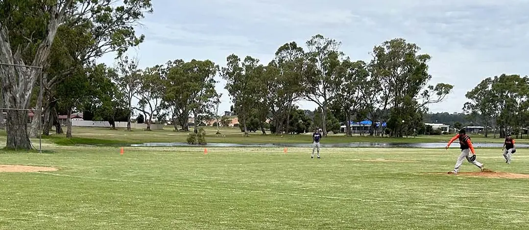 Naracoorte Rangers Baseball report
