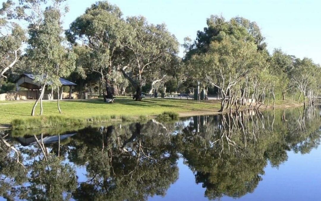 Unique feature for Bordertown lake