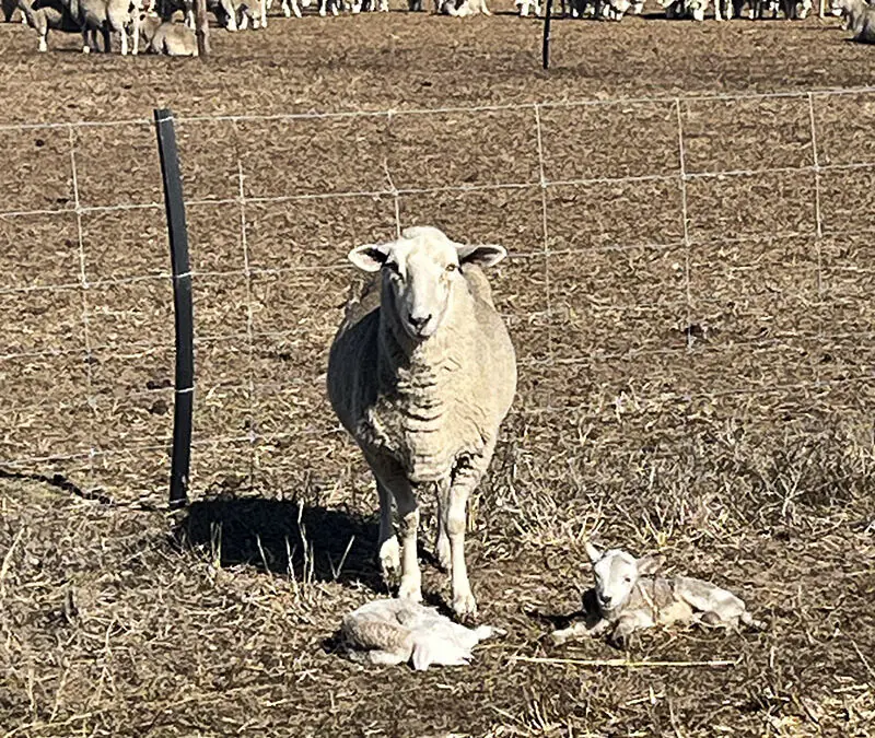 The dry continues