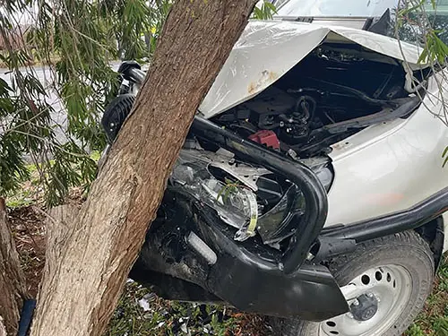 Roadside tree hazard