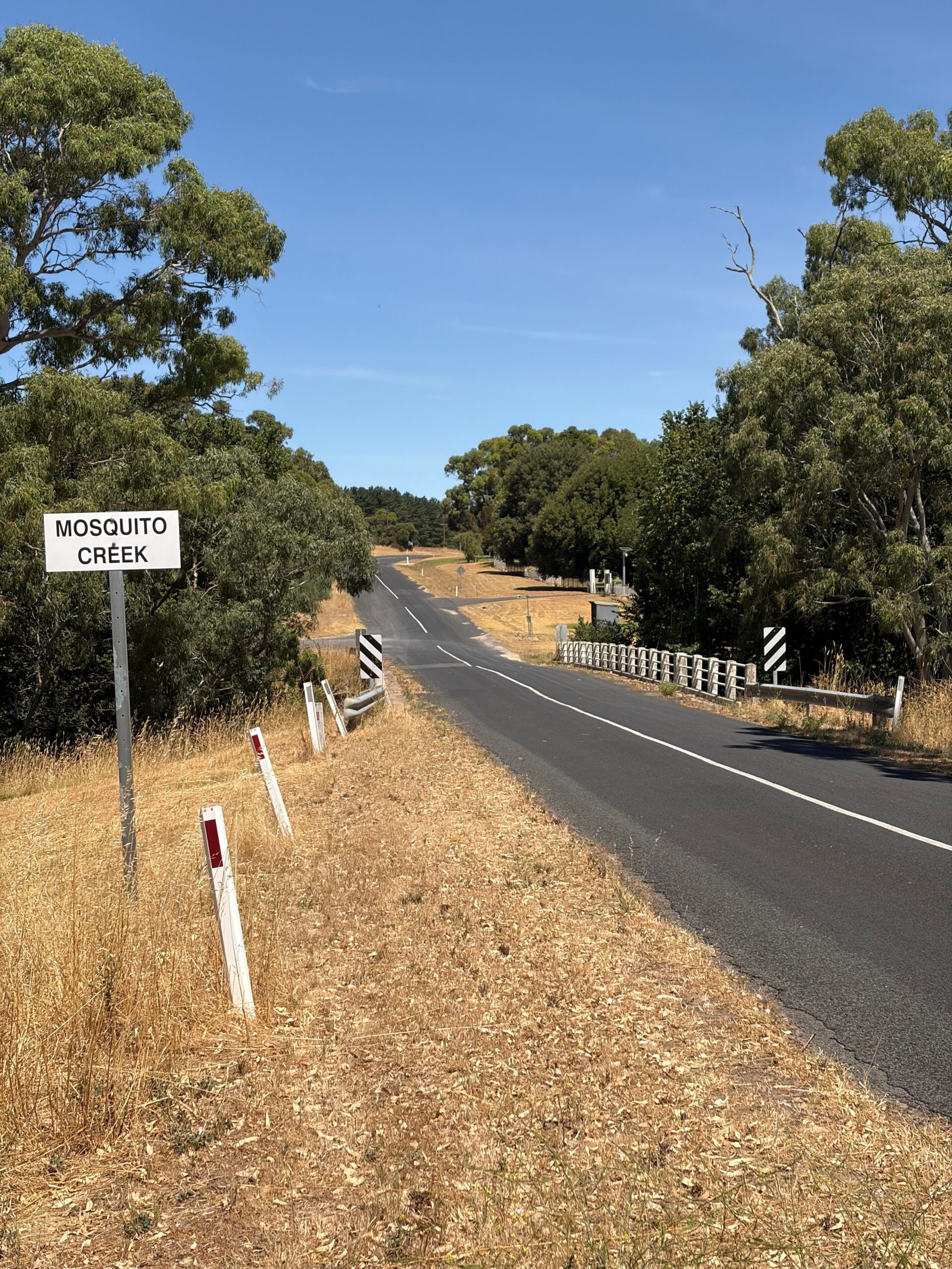 ns – Bridge hope picture